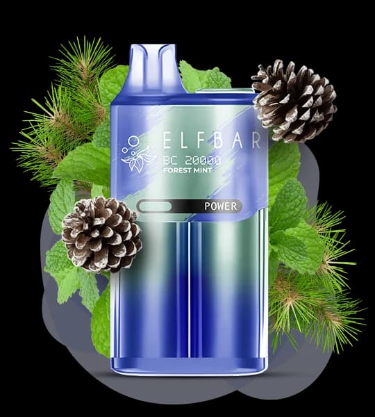 Єльф Бар BC20000 Forest Mint - 🌿 Лісова м'ята