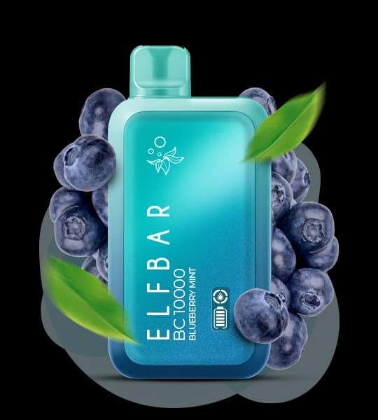 Єльф Бар BC 10000 Blueberry Mint - 🫐🌿 Чорниця з м'ятою